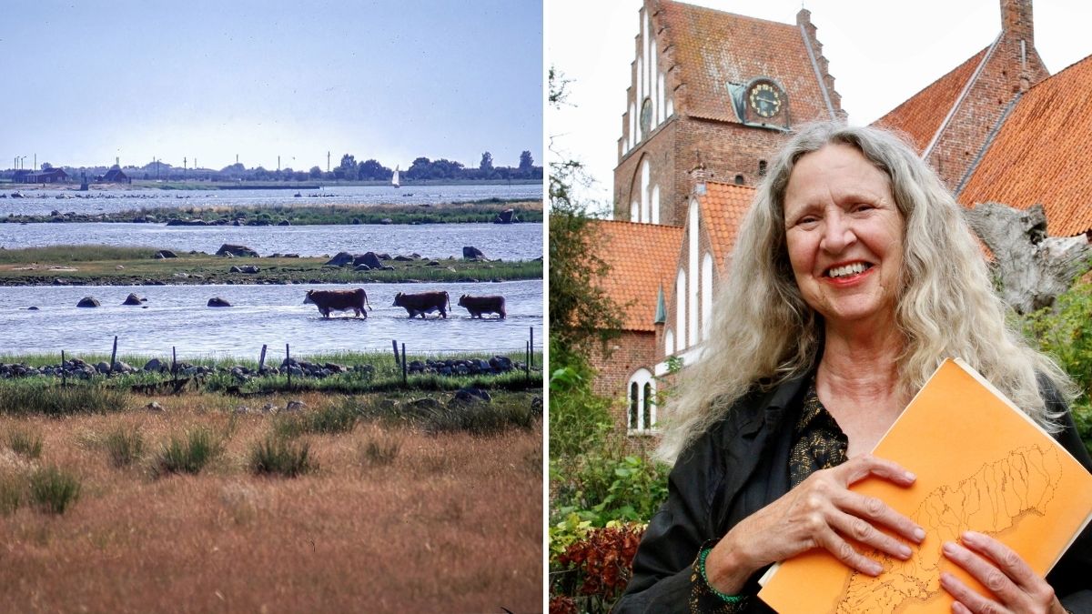 Anglerts Historieförmedling