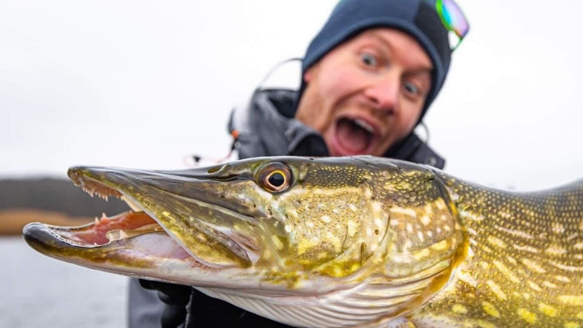 Gäddfiske i Blekinge