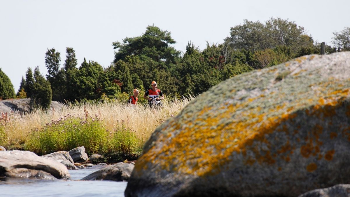 “Swimrun i Blekinge skärgård: En actionfylld scen med deltagare som springer genom lummiga skogsstigar, simmar i glittrande vatten mellan öar och cyklar längs kustnära stigar. Bilden fångar naturens skönhet med mossbeklädda klippor, höga tallar och ett soligt, nordiskt landskap. Perfekt för äventyrs- och träningsentusiaster i Blekinge Foto av Niklas Kämpargård 