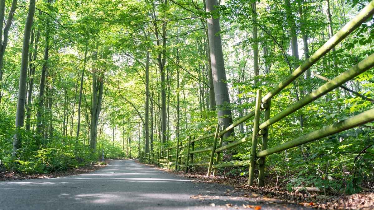 Brötalyckan i Sölvesborg, en sträcka längs Blekingeleden