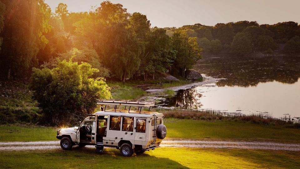 Viltsafari på ERiksberg Hotell & Safaripark