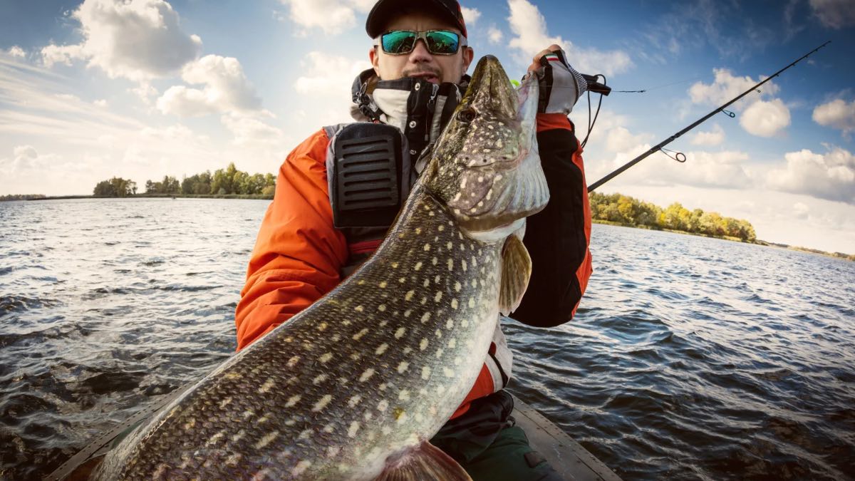 Gäddfiske i Blekinge