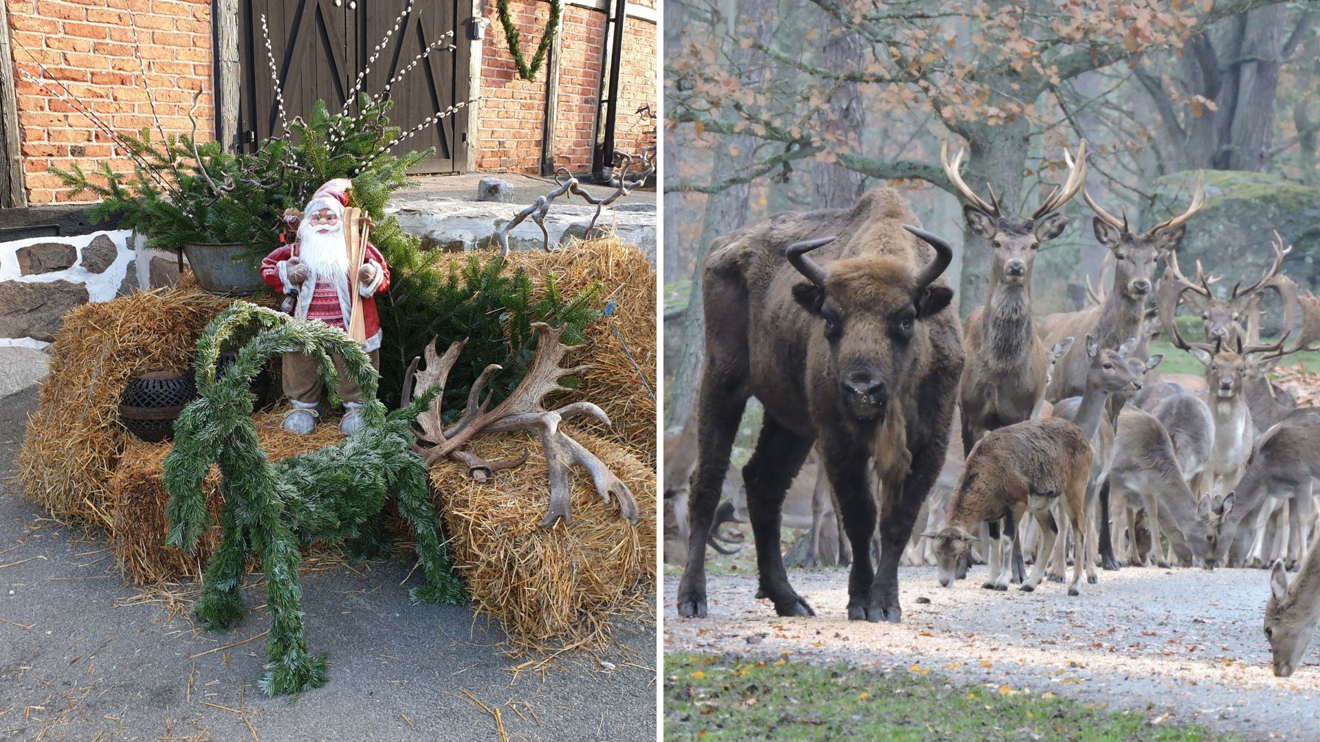 Julmarknad i Eriksbeg