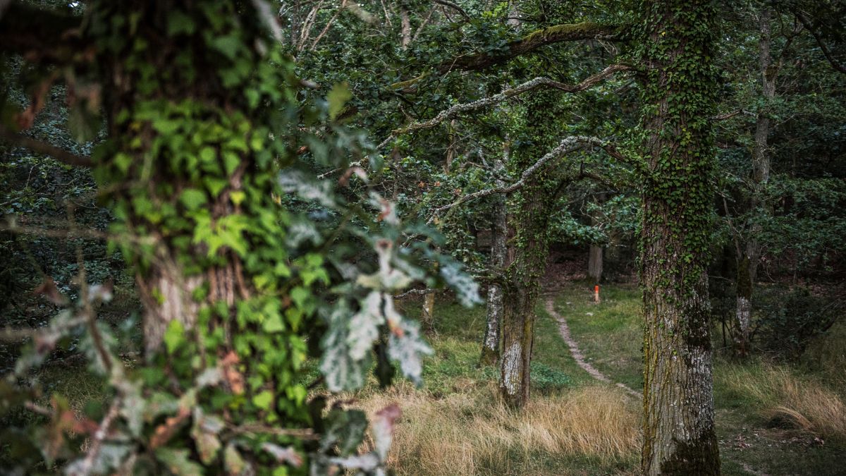 Naturreservat och ARK56-leder i Blekinge