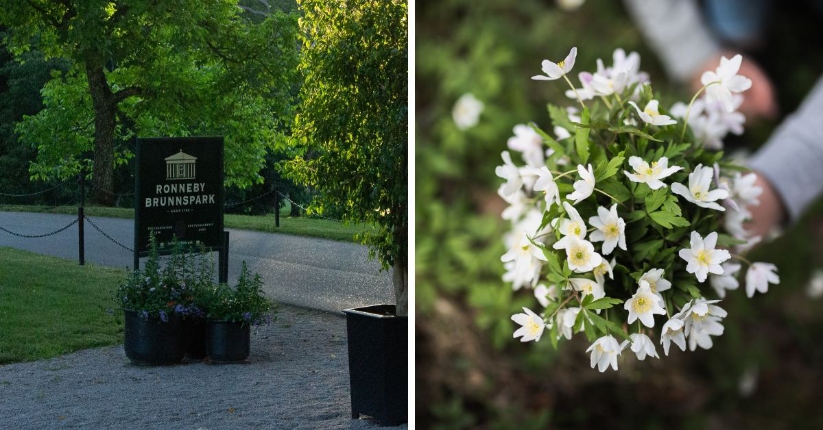 Upplev våren i Ronneby Brunnspark, Blekinge