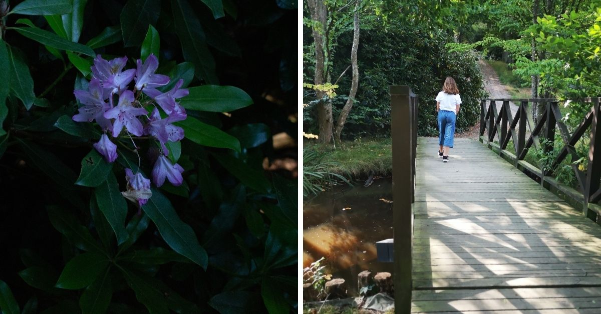 RonnebySlingor - Ronneby Brunnspark med blomstrande buskar