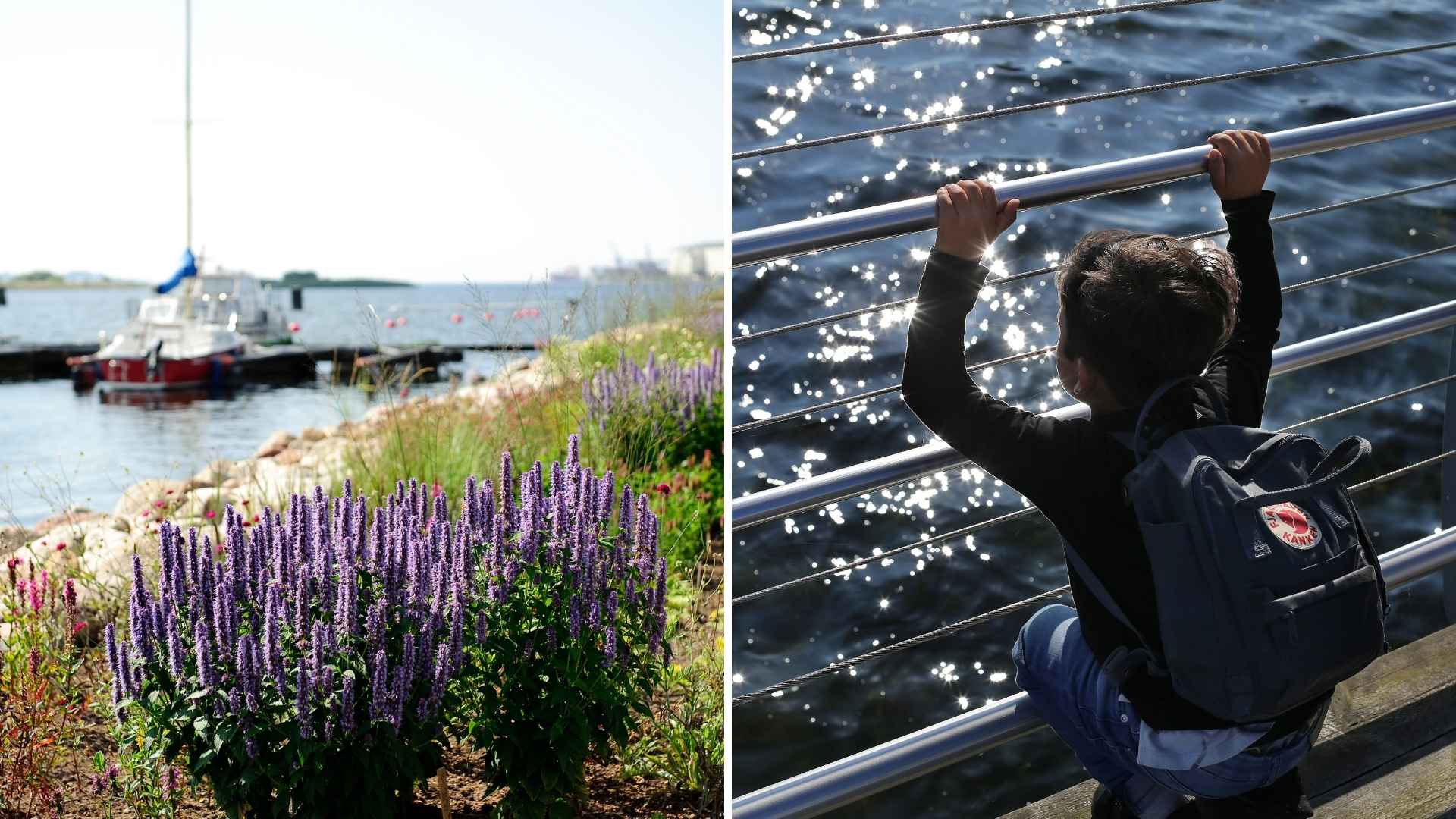 Sölvesborgsbron och Fyra Årstiders Park i Blekinge