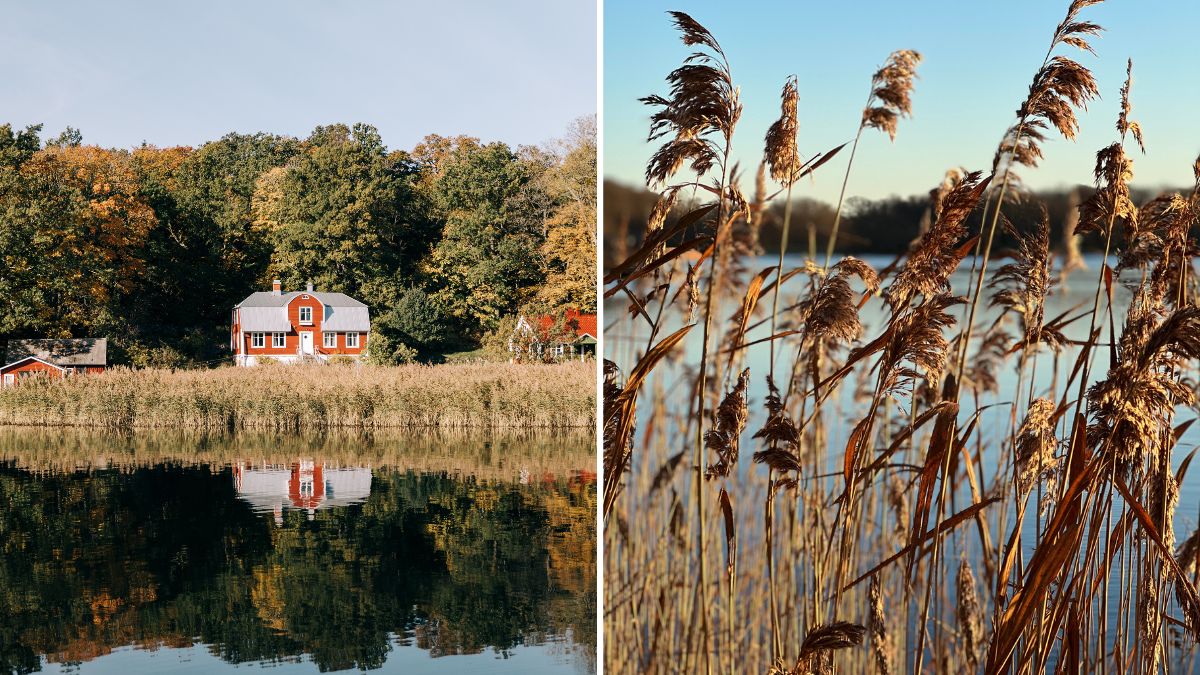 Vandra i Sydsverige - Outdoor i Blekinge