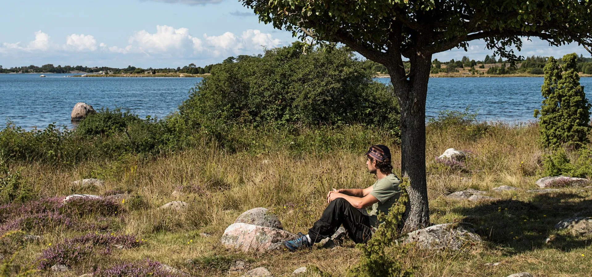 ARK56 - Pausa vid ett träd med utsikt över havet