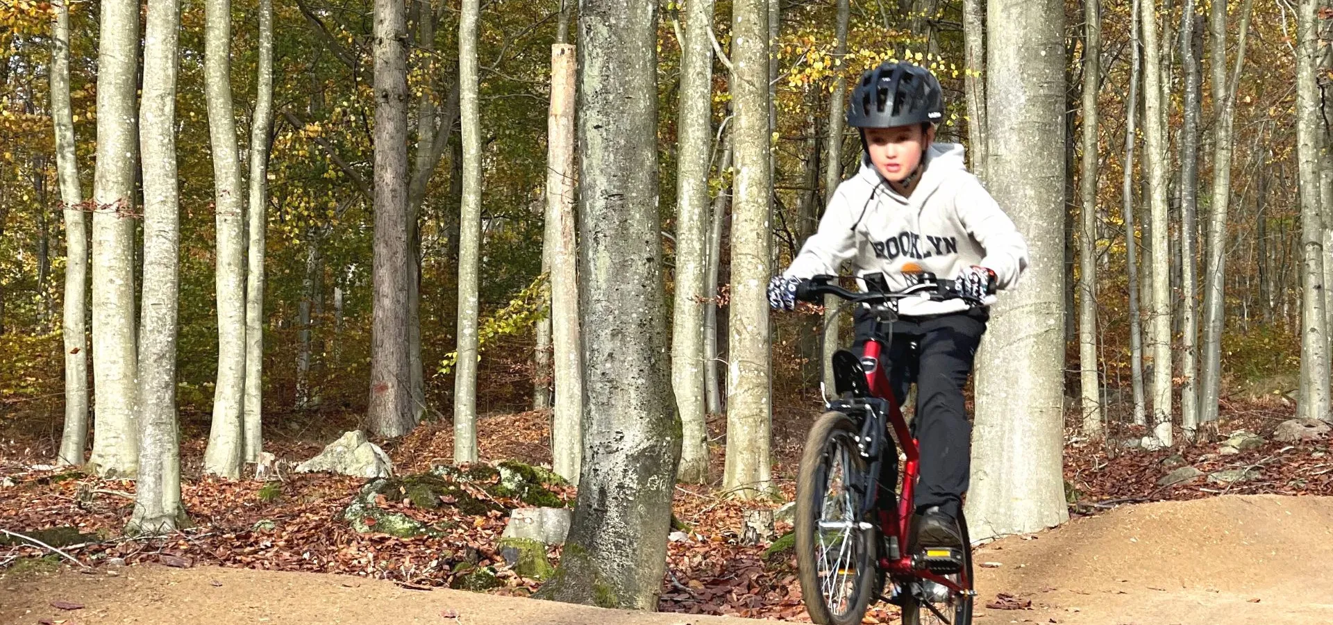 Flowtrail cykelbana på Ryssberget i Sölvesborg.