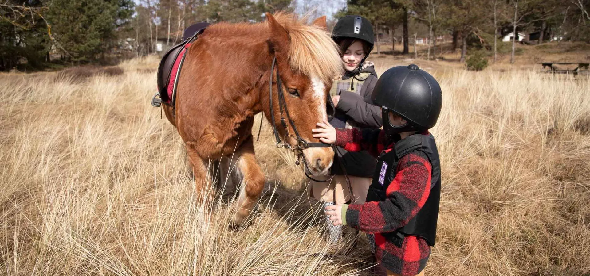 Turridning med Fornhaga Islandshästar i Sandviken, Blekinge