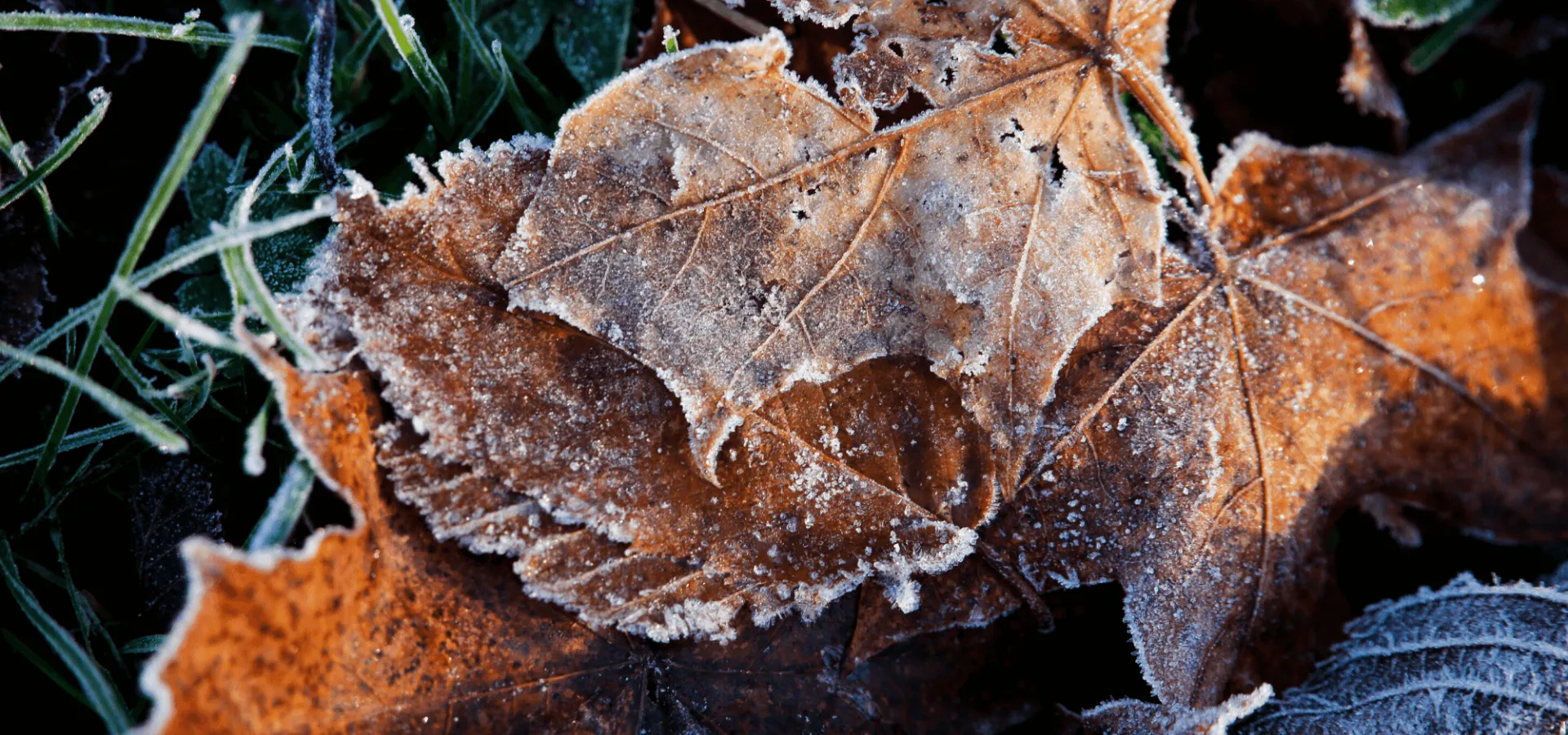 Autumn weekends in Blekinge, southern Sweden