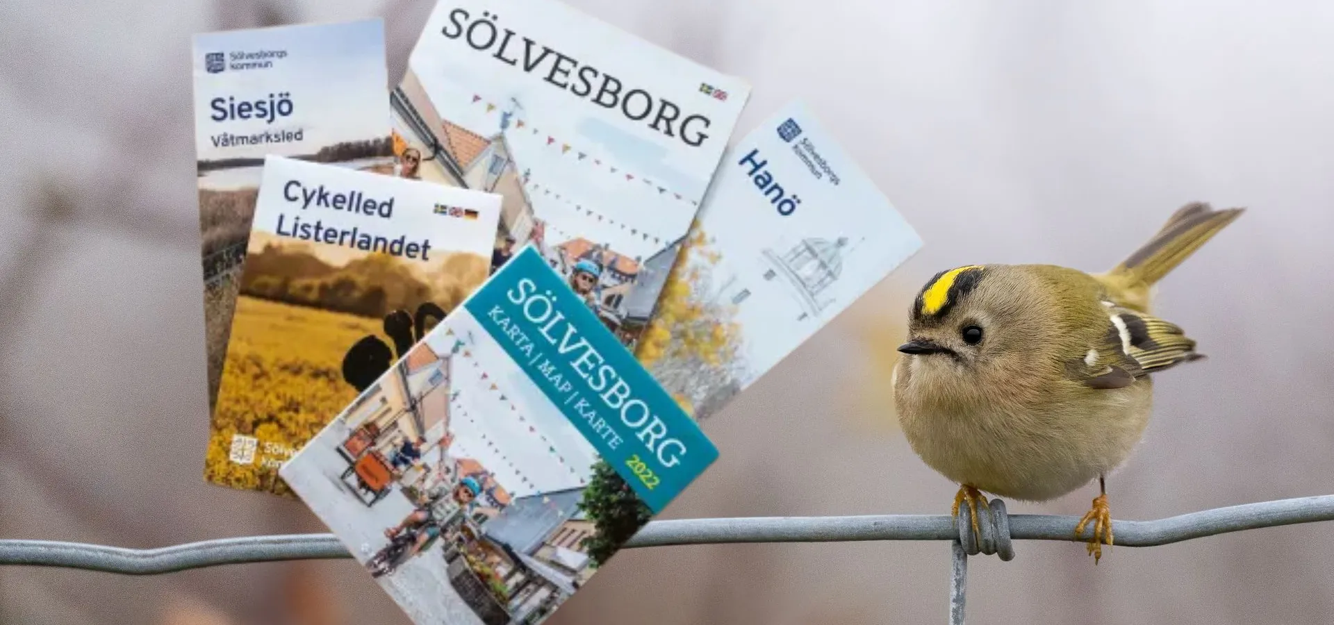 Beställ broschyrer om Sölvesborg