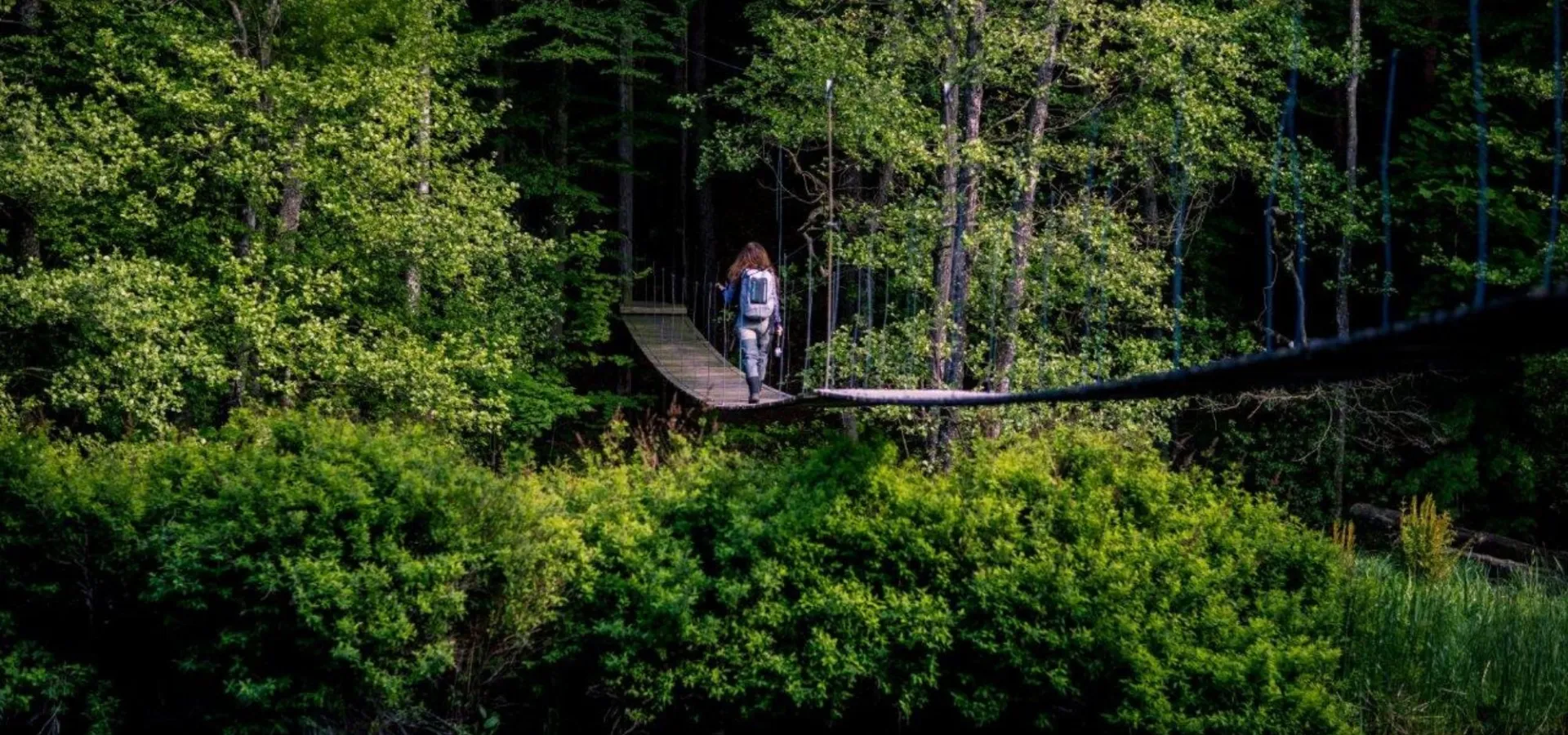 Mörrums Kronolaxfiske i Blekinge