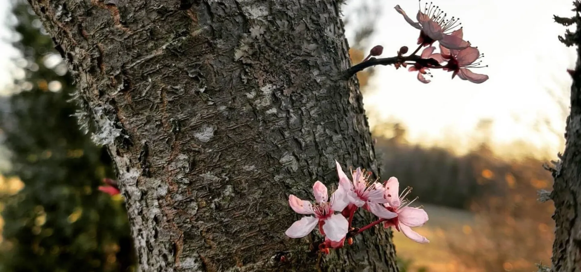 Blekinges vackra natur