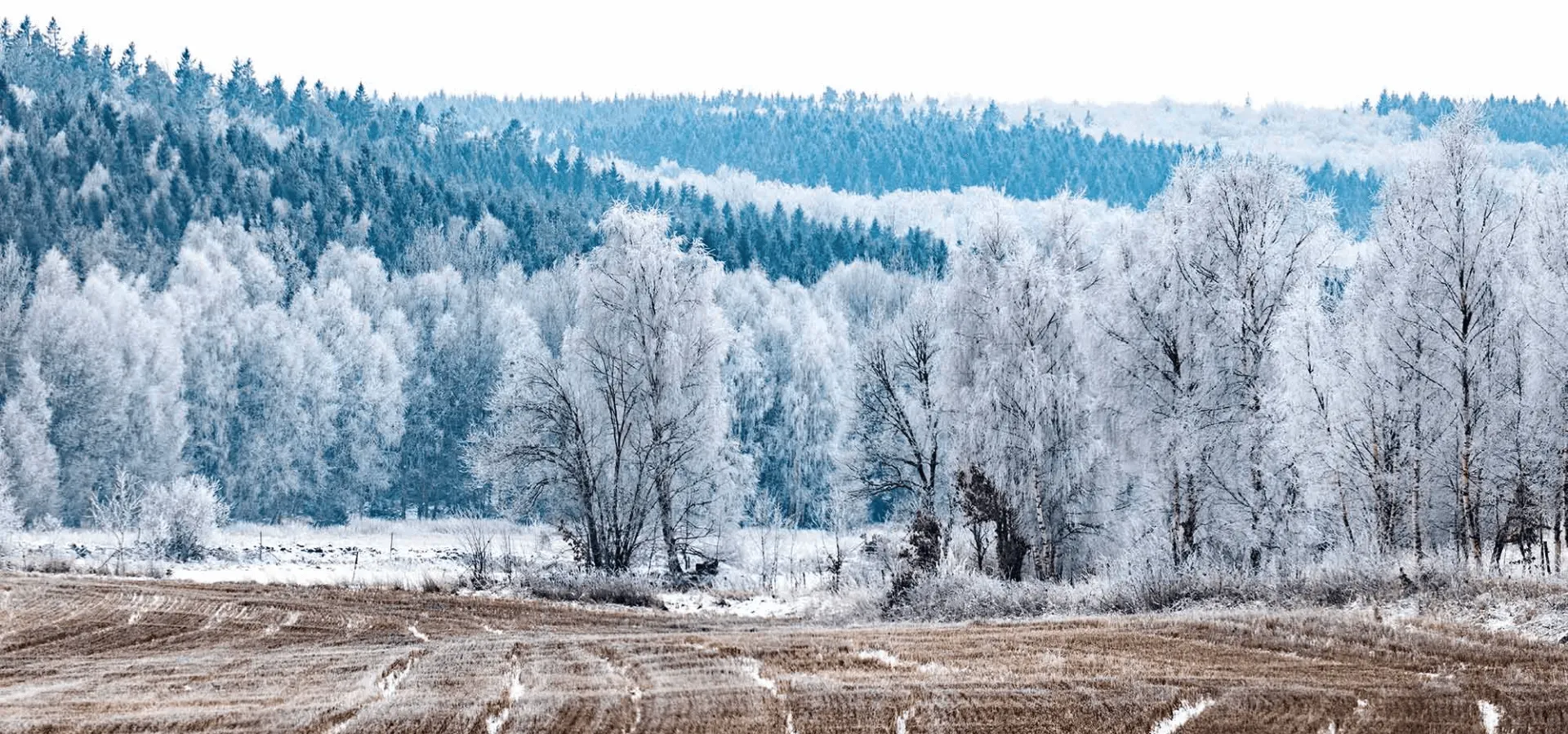 Ryssberget om vintern, Sölvesborg i Blekinge