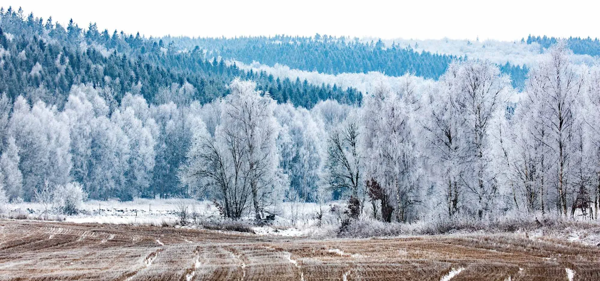 Ryssberget i vinterskrud