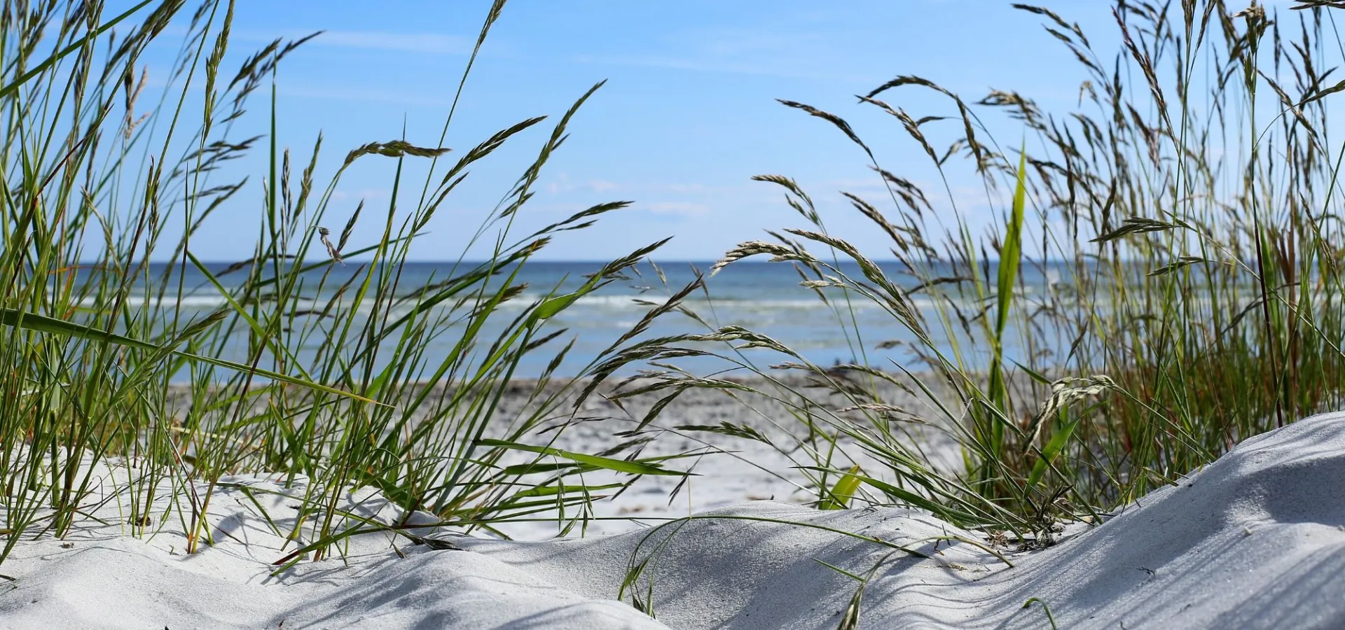 I Sölvesborg är man nära havet – var man än är! Vi är särskilt stolta över våra många, härliga vita sandstränder med turkosblått vatten som påminner om de bästa stränderna vid medelhavet. Många är långgrunda och passar barnfamiljen, men vill man snabbt bli blött finns det en brygga nästan vid varje strand.  I Hällevik finns tempererat friluftsbad med rutschbana Länk. I Hällevik och i Tredenborg är även din hund välkommen att ta sig ett dopp vid de utmärkta hundbadplatserna. Länk  Sandstrand i Sölvesborg​ [K