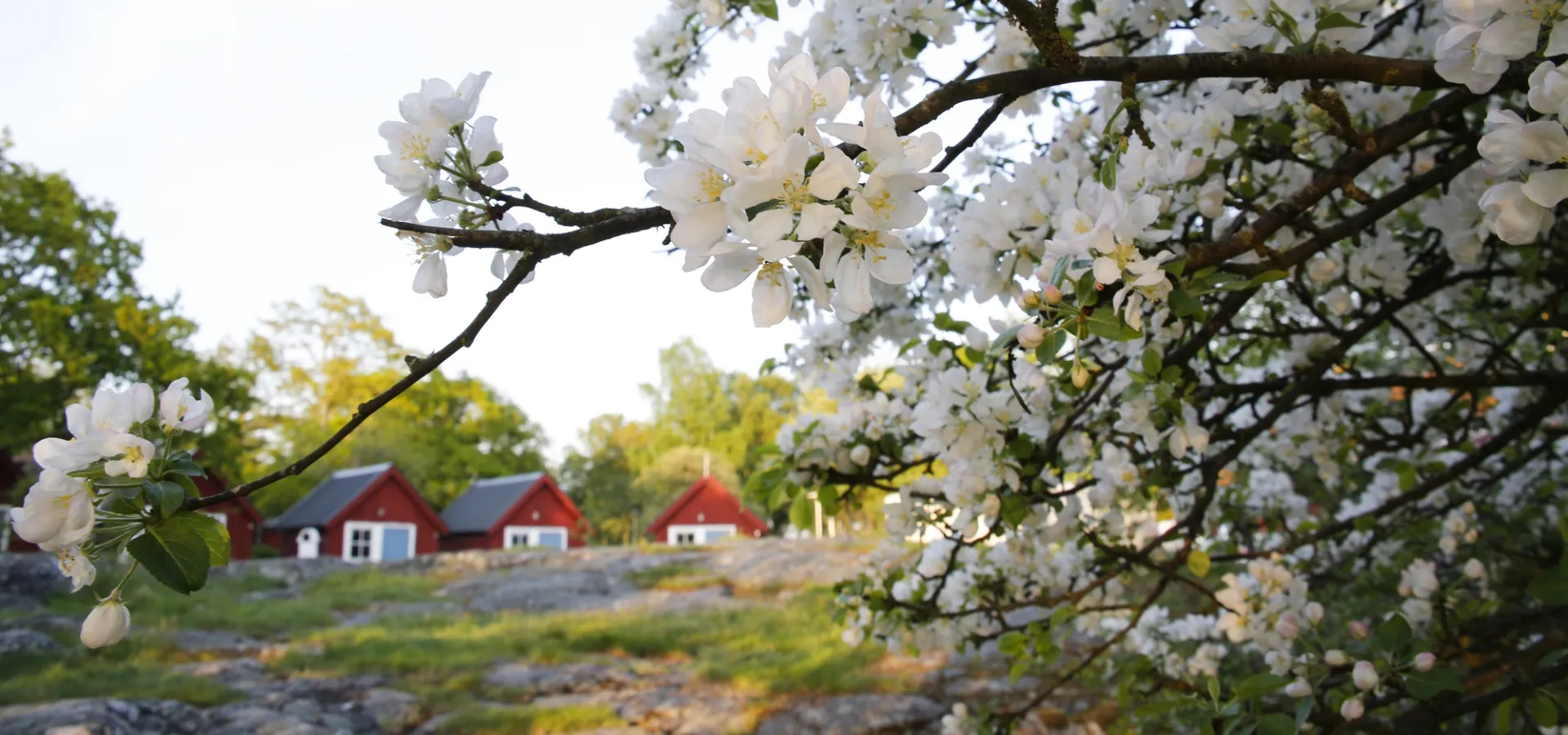 Stugliv i Blekinge, Niklas Kämpargård