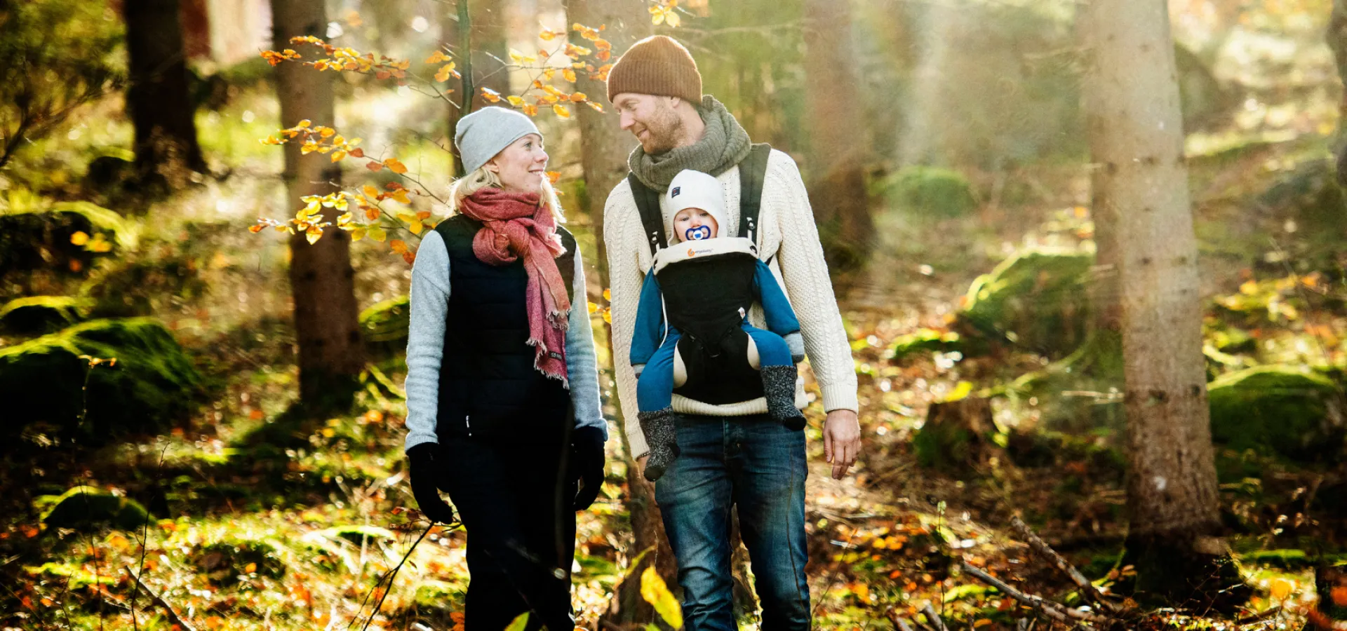 Vandra längs Laxaleden