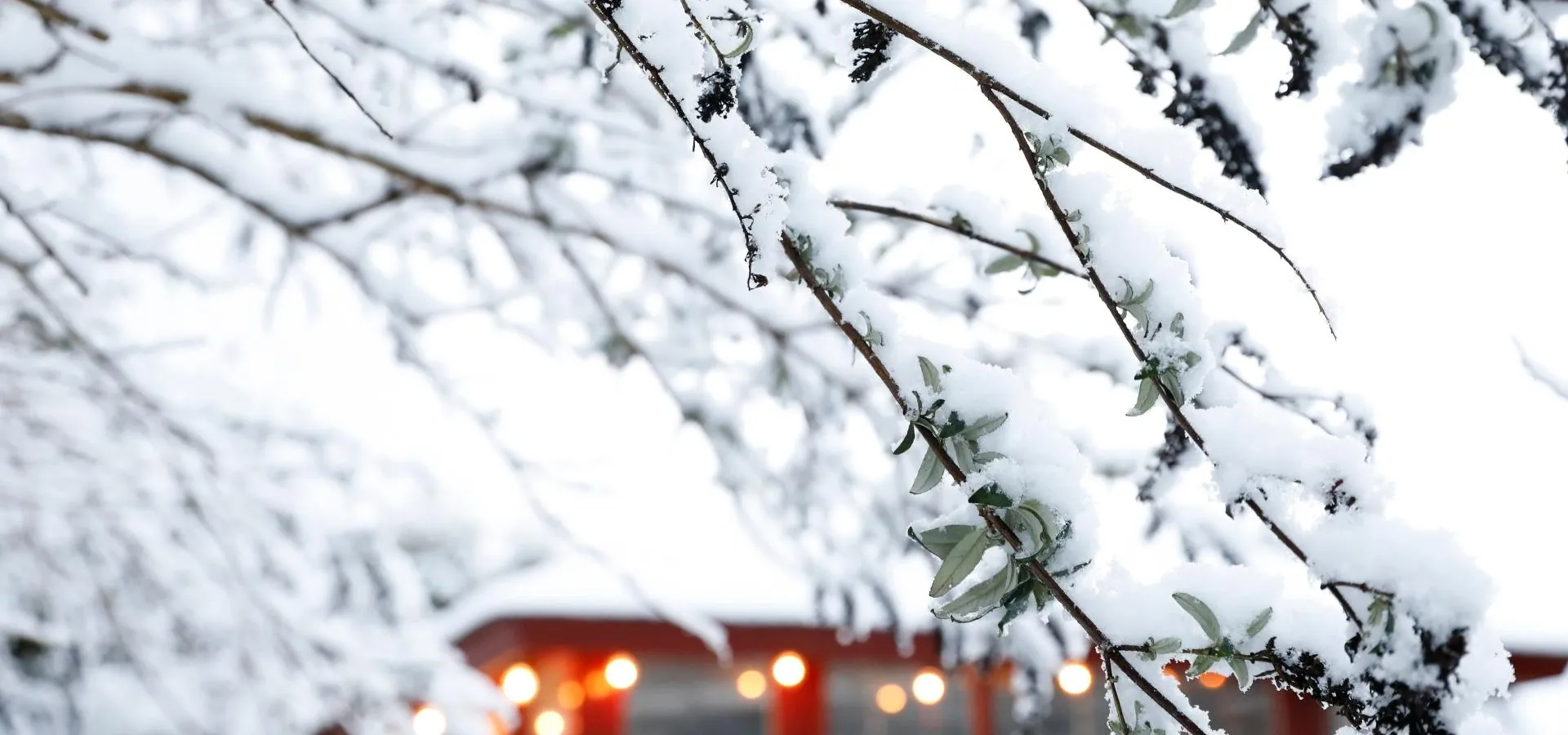 Upplev vintern i Blekinge, snöklädda grenar, röda stugor och upplysta stigar