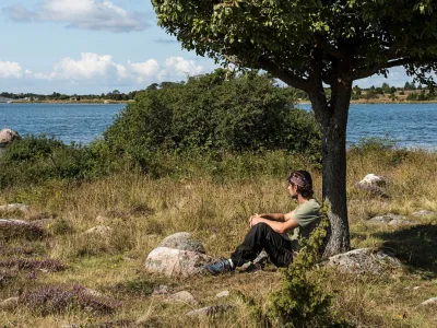 ARK56 - Pausa vid ett träd med utsikt över havet