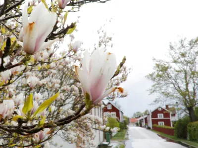 Upplev charmiga Kristianopel tillsammans med familjen