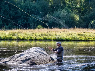 Flugfiske efter lax och havsöring i Mörrumsån, på Mörrums Kronolaxfiske i Blekinge.