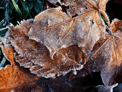 Autumn weekends in Blekinge, southern Sweden