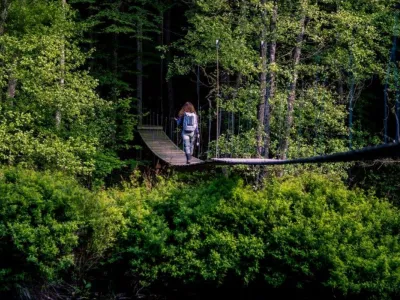 Mörrums Kronolaxfiske i Blekinge