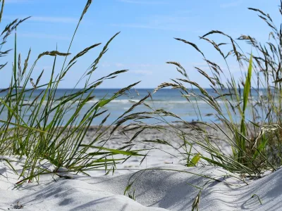 I Sölvesborg är man nära havet – var man än är! Vi är särskilt stolta över våra många, härliga vita sandstränder med turkosblått vatten som påminner om de bästa stränderna vid medelhavet. Många är långgrunda och passar barnfamiljen, men vill man snabbt bli blött finns det en brygga nästan vid varje strand.  I Hällevik finns tempererat friluftsbad med rutschbana Länk. I Hällevik och i Tredenborg är även din hund välkommen att ta sig ett dopp vid de utmärkta hundbadplatserna. Länk  Sandstrand i Sölvesborg​ [K