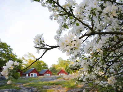 Stugliv i Blekinge, Niklas Kämpargård