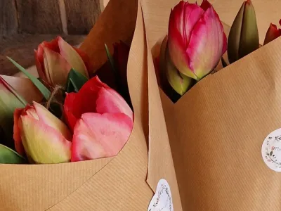 Tulpanbukett från Flintalyckans Blomster i Nogersund, Blekinge