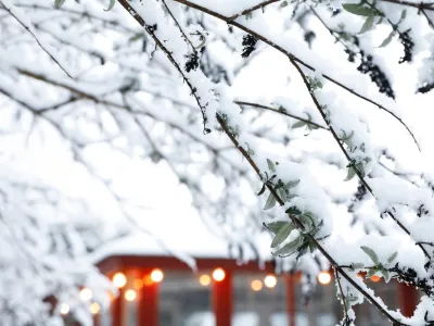 Upplev vintern i Blekinge, snöklädda grenar, röda stugor och upplysta stigar