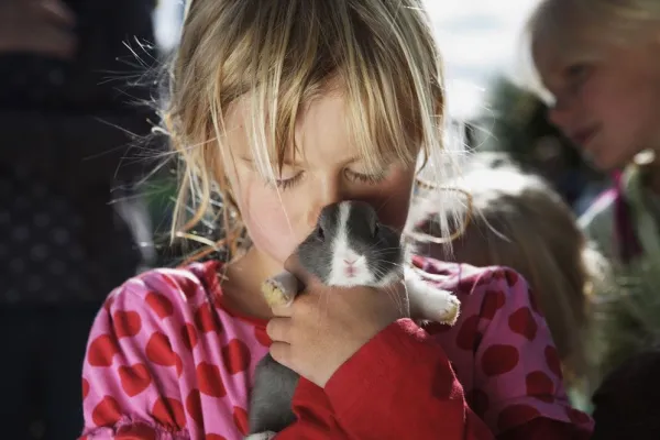 Children's farm (Barnens Gård)