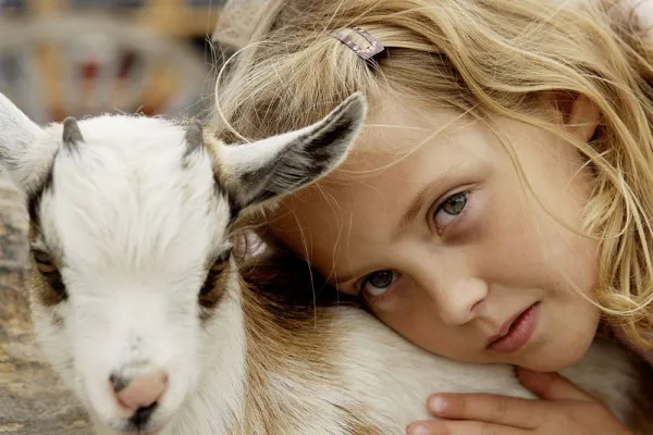 Children's farm (Barnens Gård)