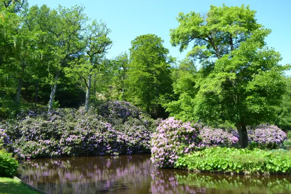 Ronneby Brunnspark and the Brunns forest 