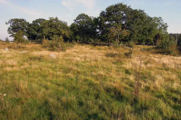 Spraglehall - nature reserve