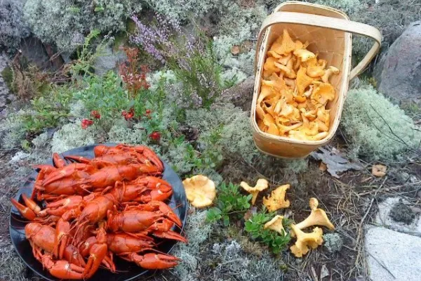 Outdoor Cooking at Brokamåla Gård