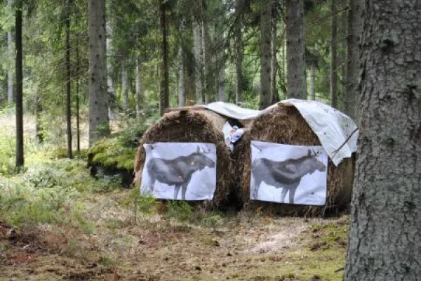 Adventure park at Brokamåla Gård