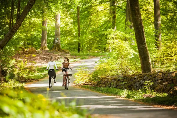 Bike rides