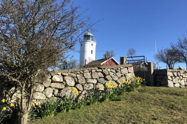 Utsikt från tomten