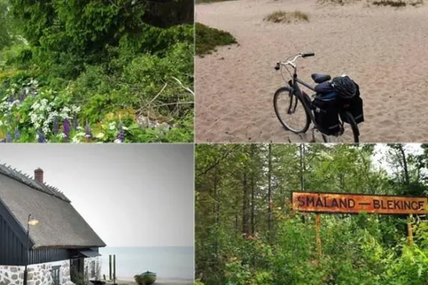 The nature along the cycle path