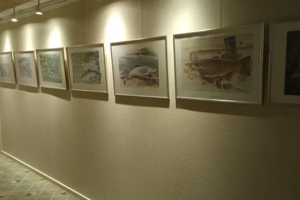 Exhibition -  fishes