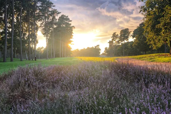 Sölvesborgs Golf Club