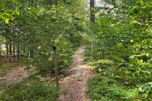 Hiking trail by the Giant´s cauldrons in Tararp