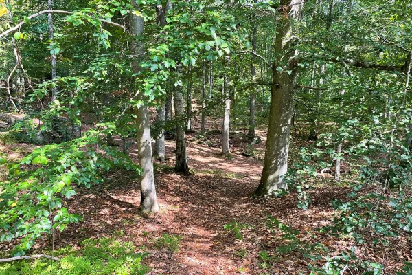 Hiking trail by the Giant´s cauldrons in Tararp