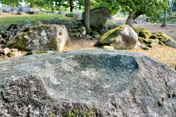 Offerlunden in Halahult - Sacrificial grove 