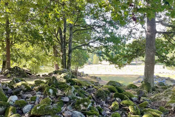 Offerlunden in Halahult - Sacrificial grove 