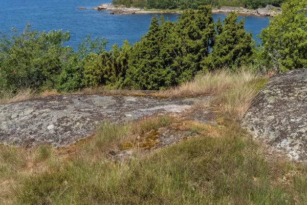 Hiking trail - Tjärö